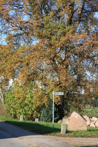 Reddelicher Gedenkstein mit Gedächtniseiche von 1813 in 2008